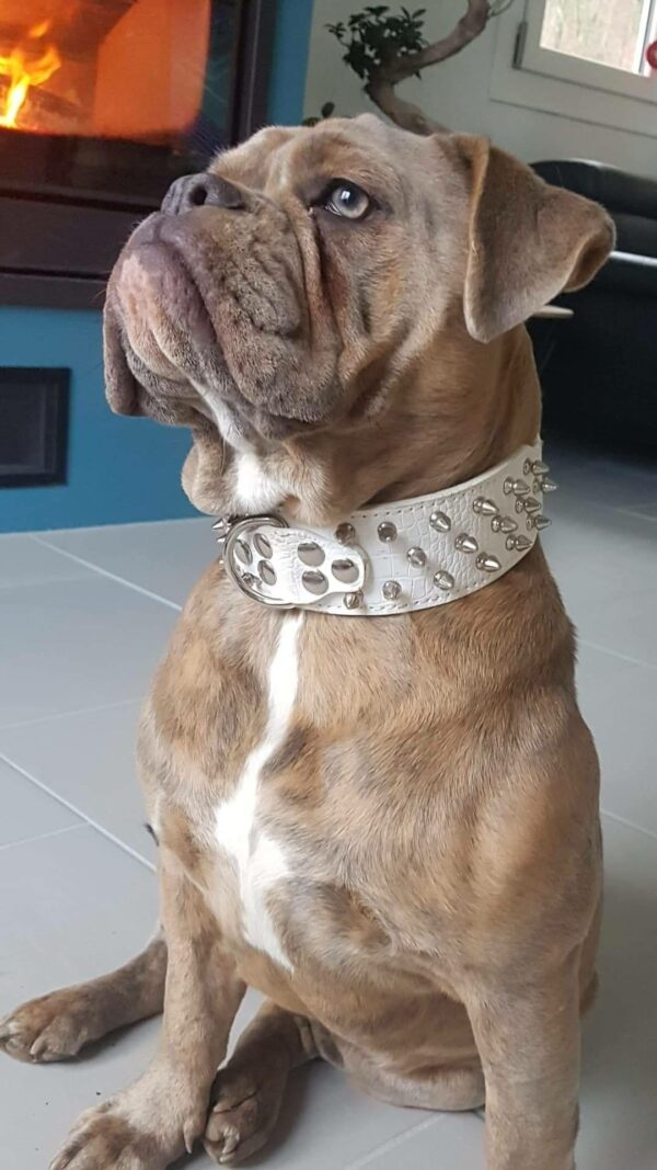 Collier cuir à piques blanc
