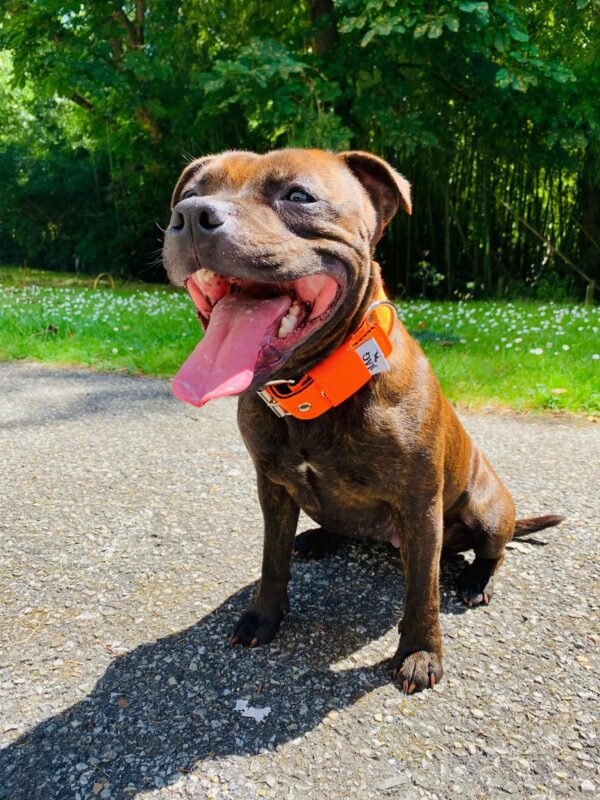 Collier orange fluo