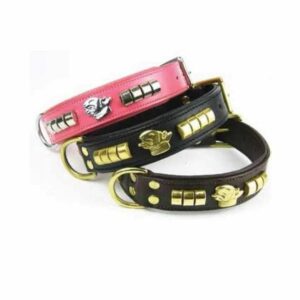 Collier cuir Bull terrier