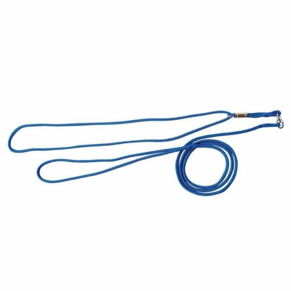 Laisse d'exposition 1,20 cm - bleu