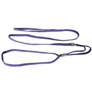 Laisse d'exposition 1,20 cm - violet