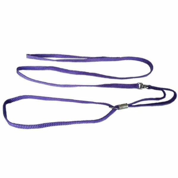 Laisse d'exposition 1,20 cm - violet