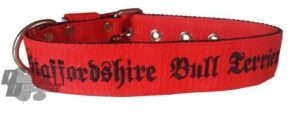 Collier rouge Staffie