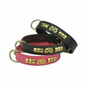 collier cuir staffie doré