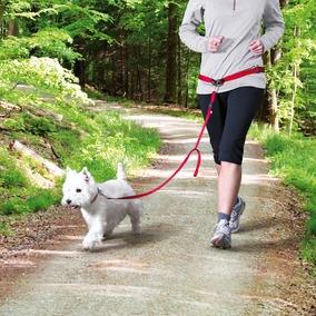 Ceinture ventrale avec laisse rouge, canicross