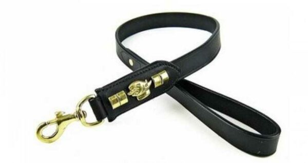 Laisse cuir Bull terrier 2,5 cm x 90 cm