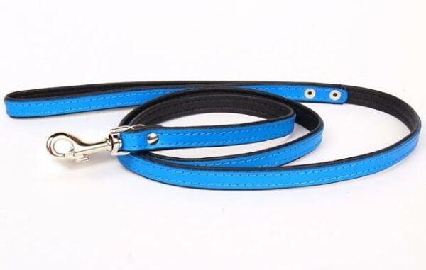 Laisse cuir bicolore 2 cm x 120 cm