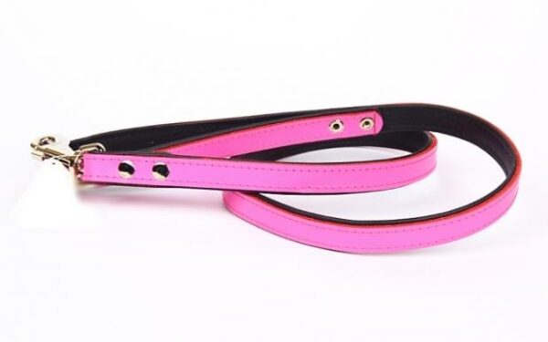 Laisse cuir bicolore 2 cm x 120 cm