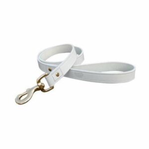 Laisse cuir 2,5 cm x 100 cm blanc / doré