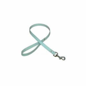 Laisse cuir 2 cm x 100 cm bleu clair / doré