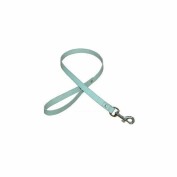 Laisse cuir 2 cm x 100 cm bleu clair / doré