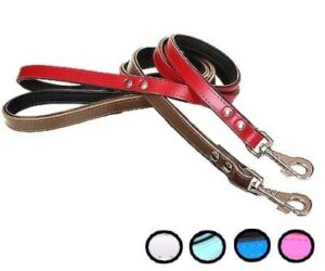 Laisse cuir bicolore 2 cm x 120 cm