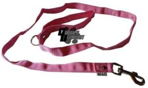 Laisse nylon 2,5 cm x 1,5 m rose clair