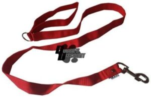 Laisse nylon 2,5 cm x 1,5 m rouge