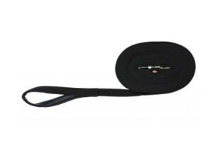 Longue laisse nylon 2 cm x 5 m