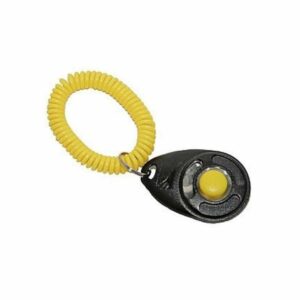 Clicker de dressage - éducation