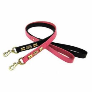 Laisse cuir Staffie 2,5 cm x 90 cm doré