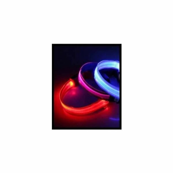 Colliers lumineux