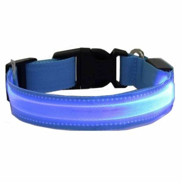 Colliers lumineux