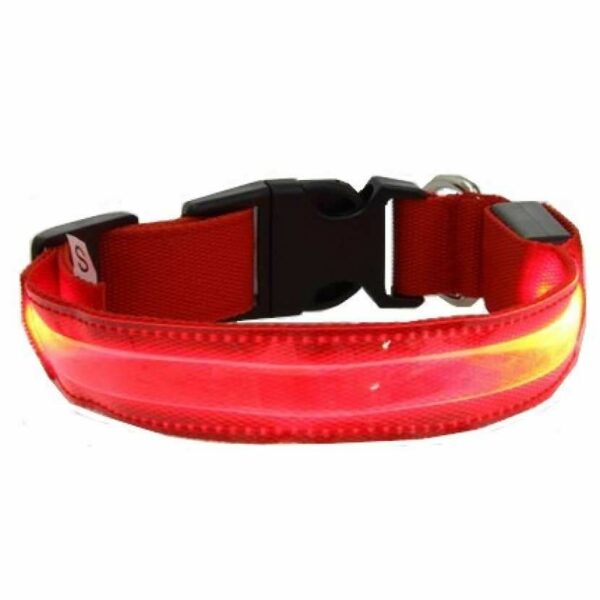 Colliers lumineux
