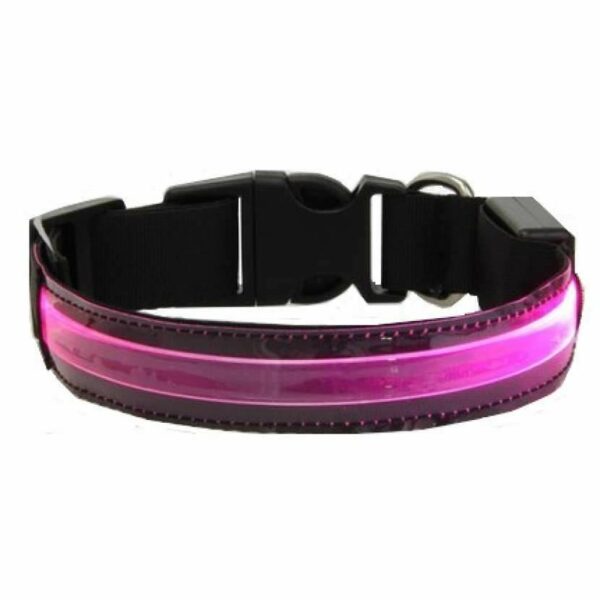 Colliers lumineux