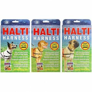 Harnais nylon halti