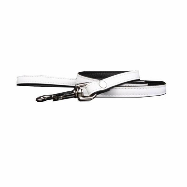 Laisse cuir bicolore 2 cm x 120 cm