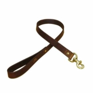 Laisse cuir 2,5 cm x 100 cm marron / doré