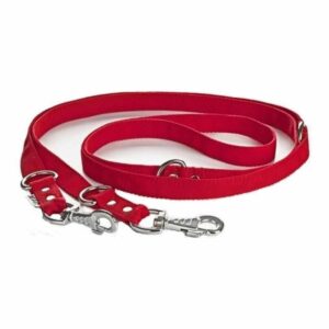 Laisse multiposition 2,5 cm - rouge