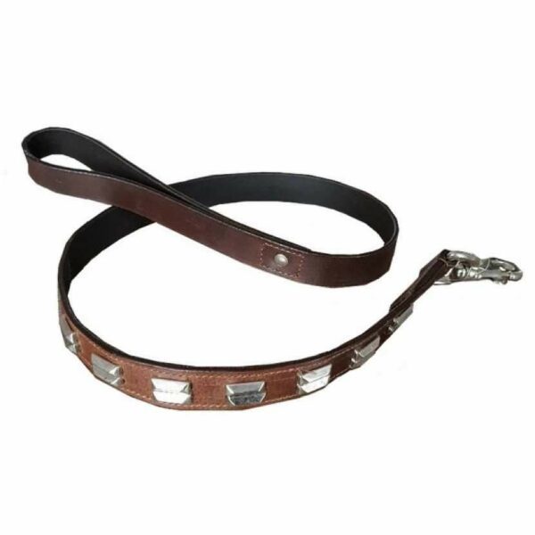 Laisse cuir 2,5 cm x 100 cm marron / argenté avec motifs