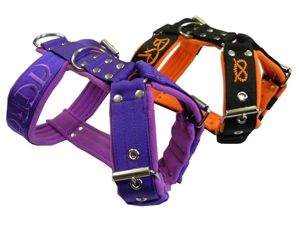 harnais chien doggiesdiscount
